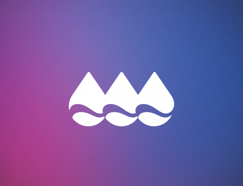 Water Meter Census Mobile App